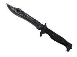 ★ Bowie Knife | Night (Battle-Scarred)